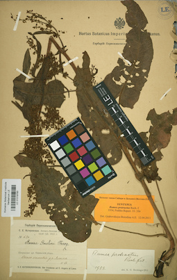 LE 01019783