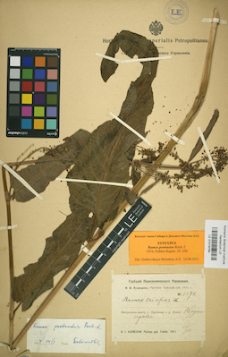 LE 01019784