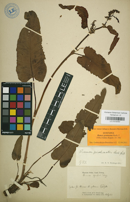 LE 01019787