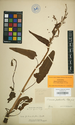 LE 01019788