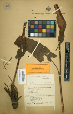 LE 01019790