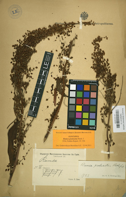 LE 01019791