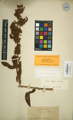 LE 01019793
