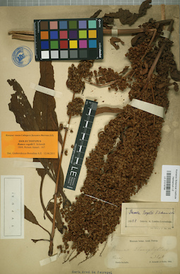 LE 01019794