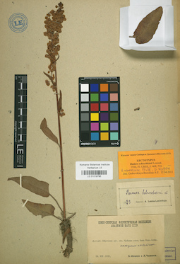 LE 01019795