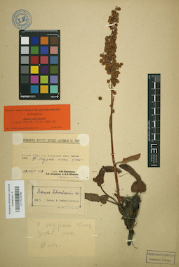 LE 01019796