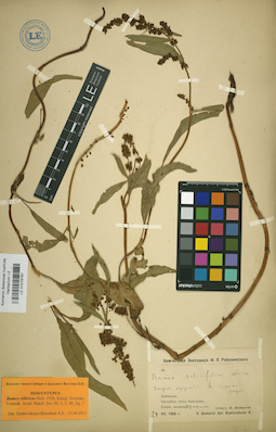 LE 01019797