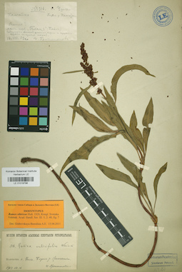LE 01019798