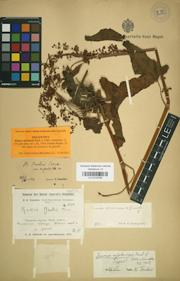 LE 01019799