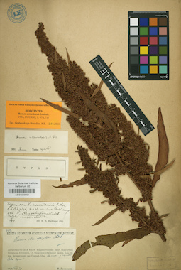 LE 01019801