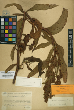 LE 01019802