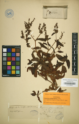 LE 01019812