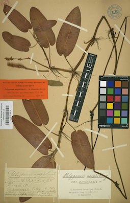 LE 01019814