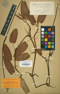 LE 01019815