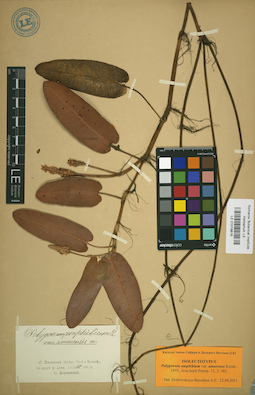 LE 01019816