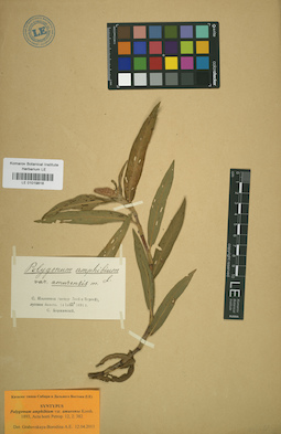 LE 01019818