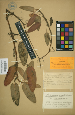 LE 01019819