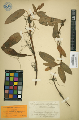 LE 01019820
