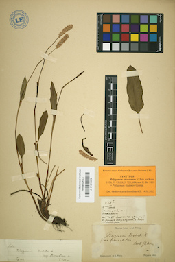 LE 01019822