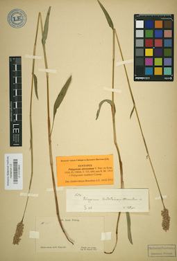 LE 01019823