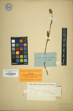 LE 01019826