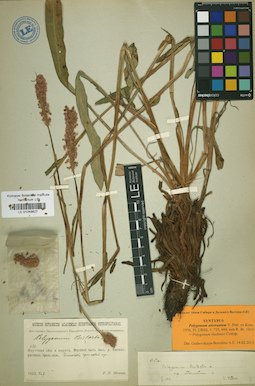 LE 01019827
