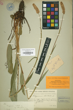 LE 01019828