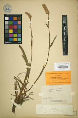 LE 01019829