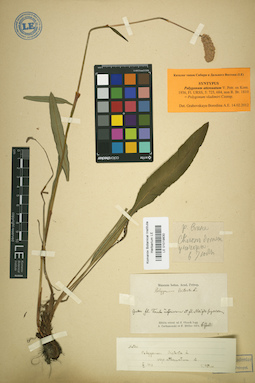LE 01019830