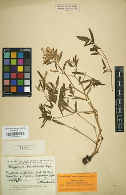 LE 01019831