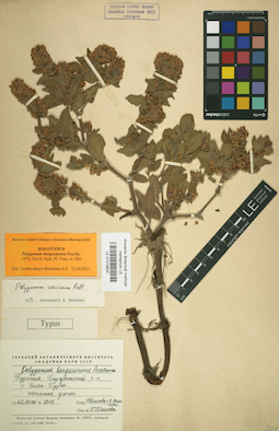 LE 01019832