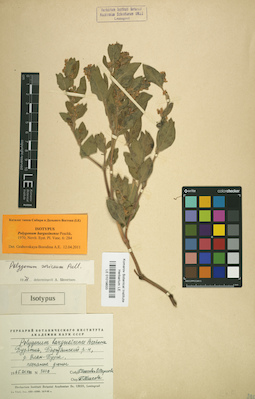 LE 01019833