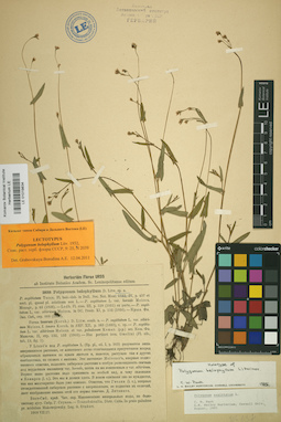 LE 01019834