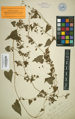 LE 01019850
