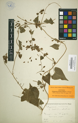 LE 01019851