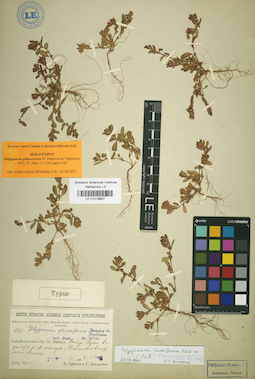 LE 01019857