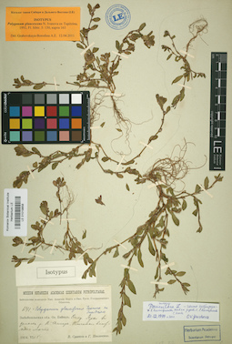 LE 01019858