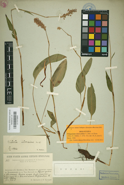 LE 01019859