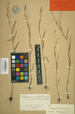 LE 01019862
