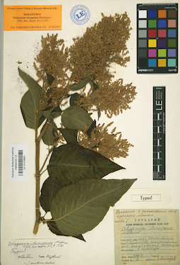 LE 01019863