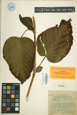 LE 01019865