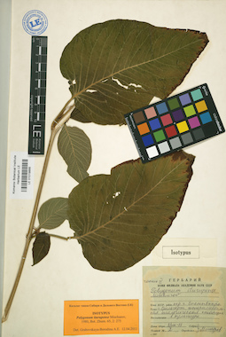 LE 01019866
