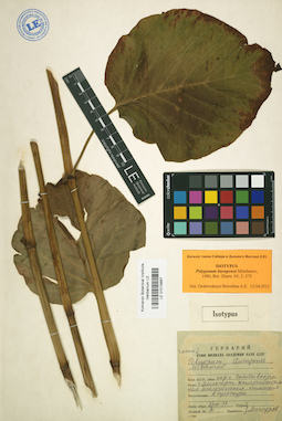 LE 01019867