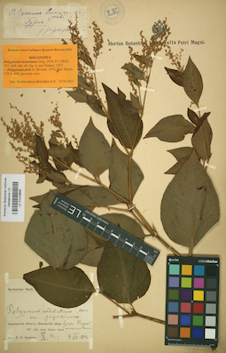 LE 01019868