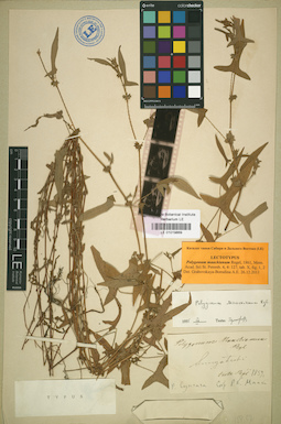 LE 01019869