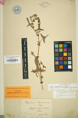 LE 01019870