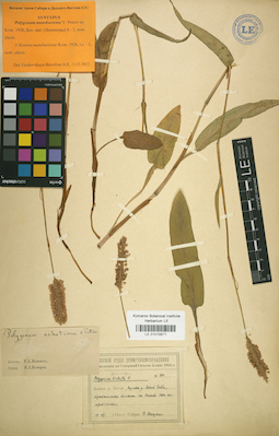 LE 01019871