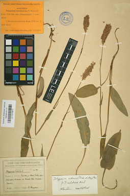LE 01019872