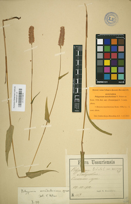 LE 01019874