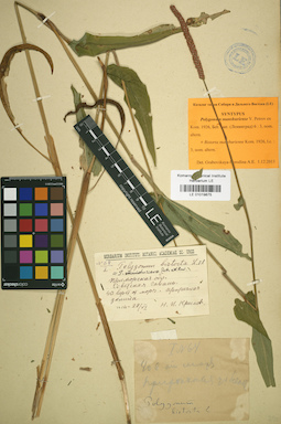 LE 01019875
